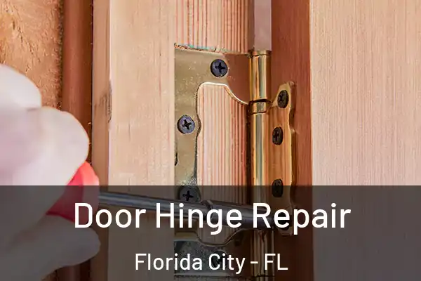 Door Hinge Repair Florida City - FL