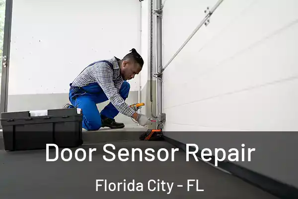  Door Sensor Repair Florida City - FL