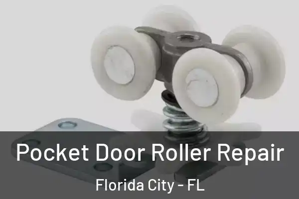 Pocket Door Roller Repair Florida City - FL