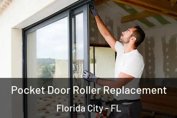Pocket Door Roller Replacement Florida City - FL